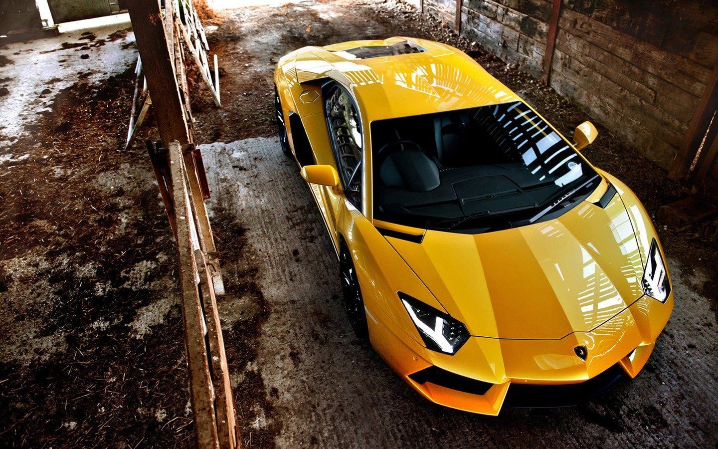 Invisible Auto Protective Film for Hood Bumper Bonnet