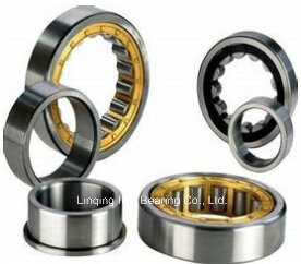 Cylindrical Roller Bearing Nup309, N409, Nj409, Nu409, Nup409, Nu2209, Nup2209, Nj2209, Nu2309, Nup2309, Nj2309, Nn3009