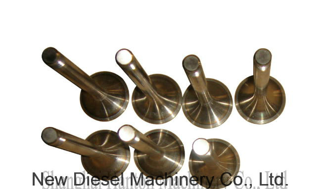 Deutz Mwm D302 Exhaust Valve 6.207.0.460.301.4