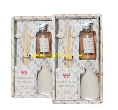 Reed Diffuser Set/ Aroma Diffuser Set/ Gift Set (JSD-K0009)