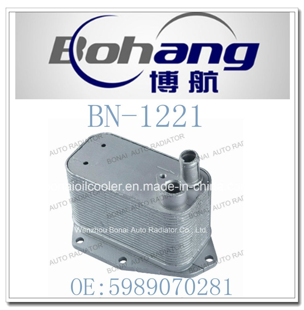 Bonai Auto Spare Parts for  BMW Oil Cooler/Radiator (5989070281)
