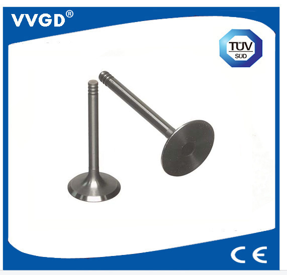 Auto Intake Valve for VW 048109601e
