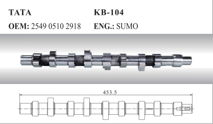 Auto Camshaft for Tata (2549 0510 2918)