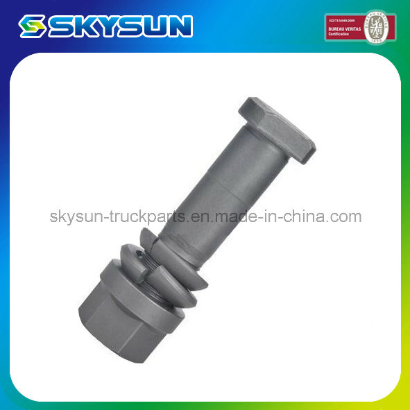 Truck/Trail Part Common Wheel Bolt and Nut for Truck (3094010271)