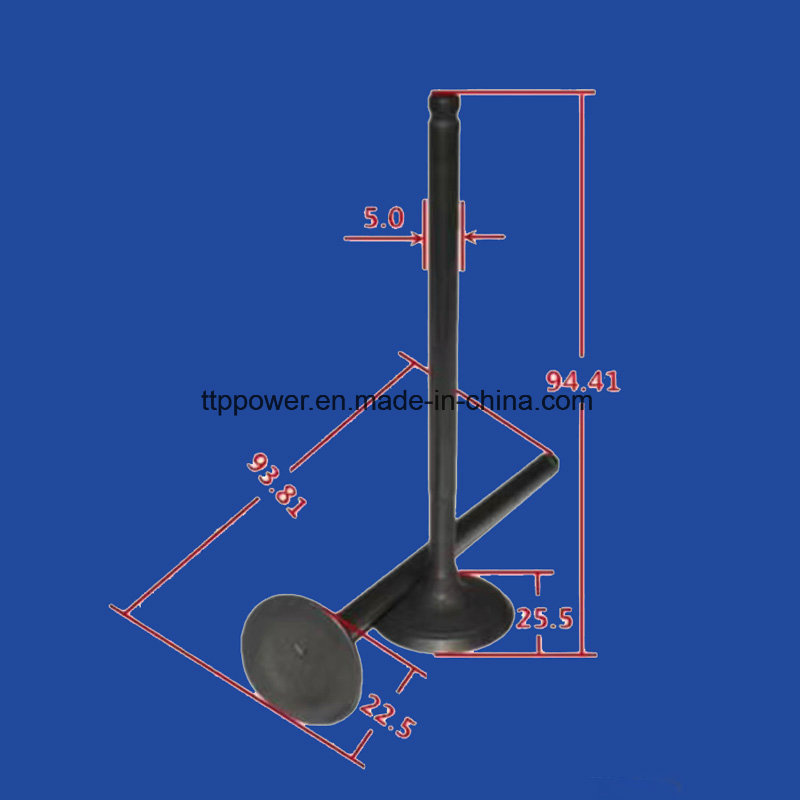 Motorcycle Valve Inlet/Exhaust Set for En125
