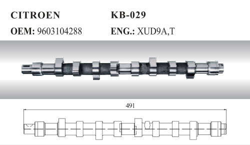 Auto Camshaft for Citroen FIAT (9603104288)