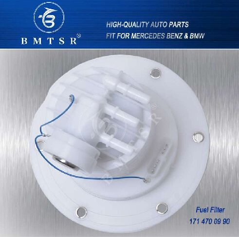 20 Years Professional Supplier Fuel Filter Fuel Pump for 1714700990