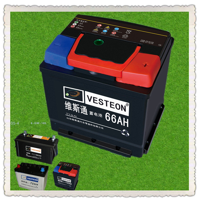 Maintenance Free Car Battery