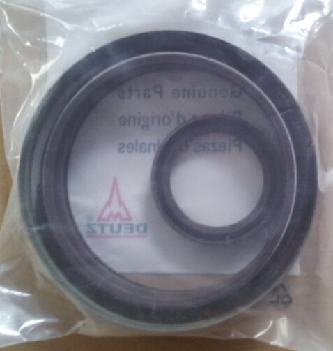 Oil Seal for Diesel Engine Bfm1015