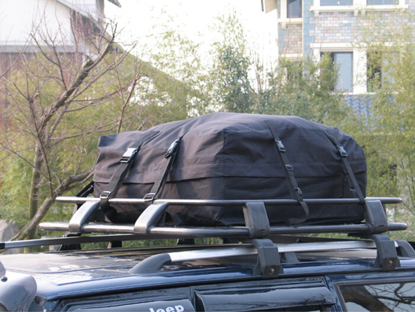 Auto Roof Bag