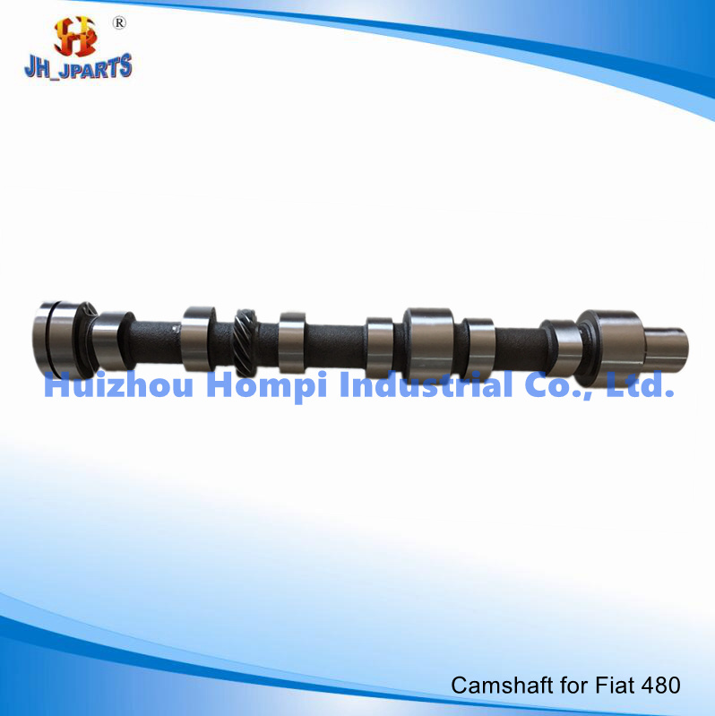 Auto Parts Camshaft for FIAT 480 4603298 FIAT 640 4835412