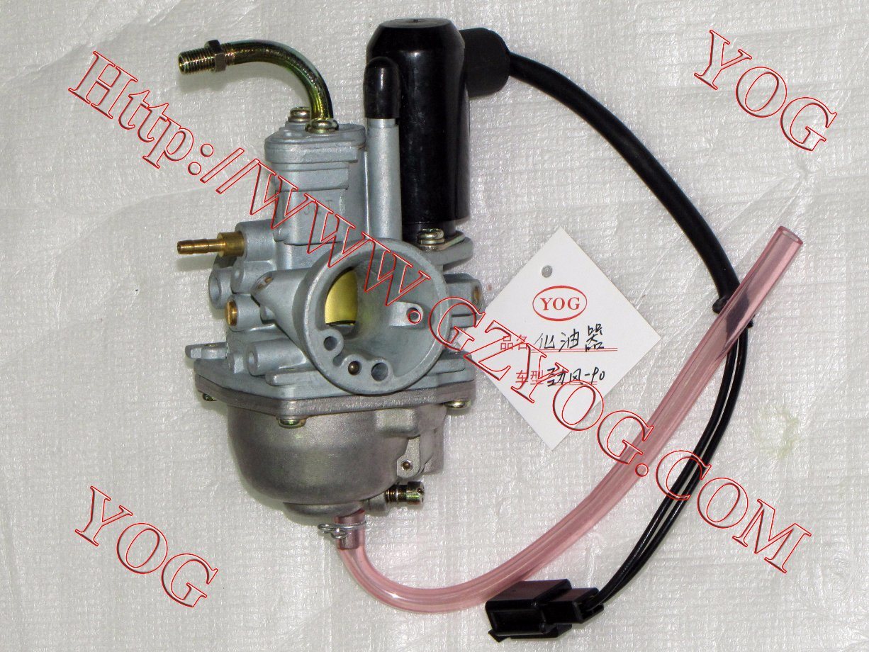 Motorcycle Spare Parts Motorcycle Carburetor for At100