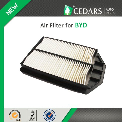 China Auto Parts Quality Supplier Air Filter for Byd
