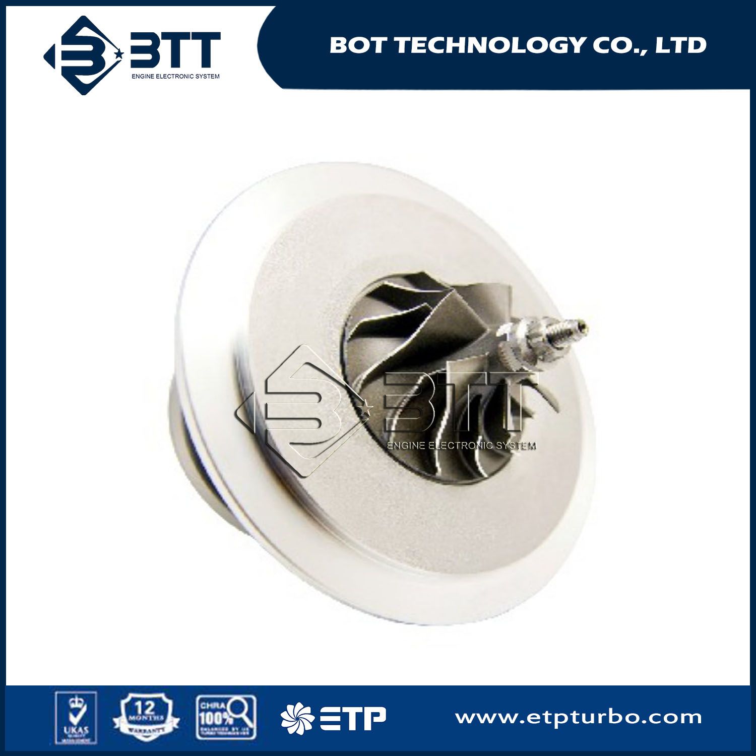 Turbocharger Cartridge/Chra 738123-0001/738123-0002/738123-0003/738123-5003s/738123-5004s/703245-0001/703245-0002	Gt1549s	433289-0079	Renault	Megane/Lagu