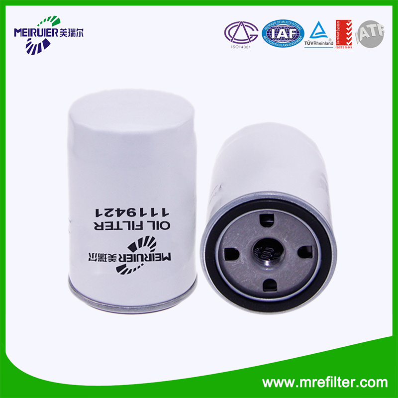 Auto Car Oil Filter for Ford Engine 1119421