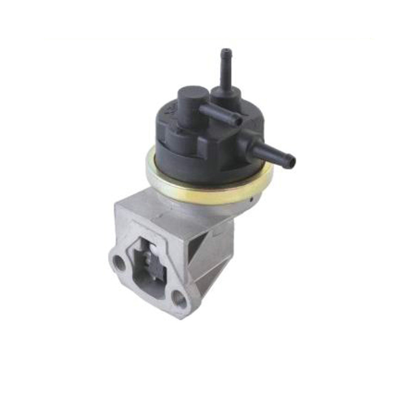 Auto Engine Parts Fuel Pump Pl8044 for Peugeot/Renault