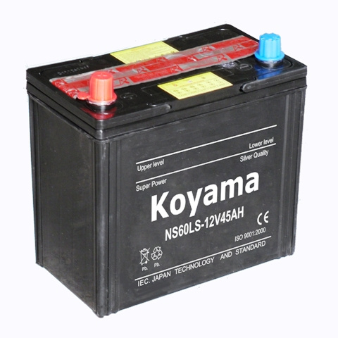 Japanese Dry Battery (46B24R/L(S)-NS60S-N45S)
