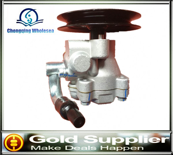 Power Steering Pump 8200024778 491104521r 8200024738 8200838037 8200712890 4405479 for Renault