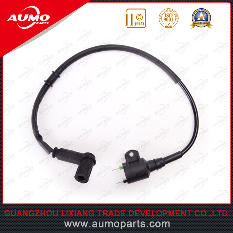 Professional Supplier Ignition Coil Assy for CPI Gtx50 Gtx125 CPI Parts