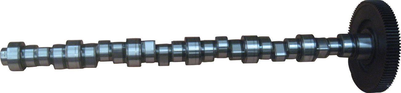 Diesel Camshaft for Deutz Engine Bfm1013