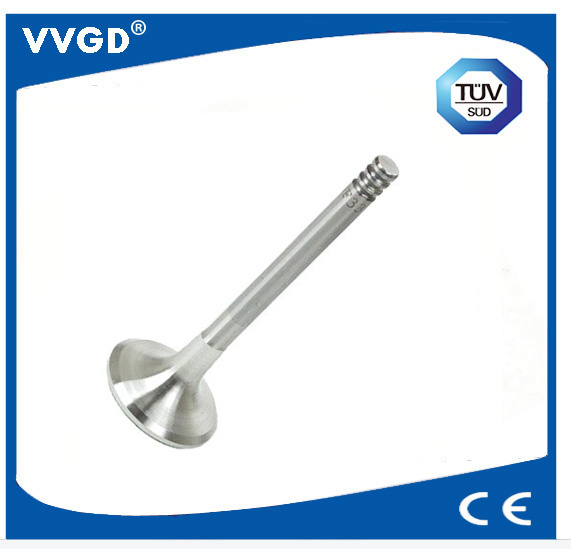 Auto Intake Valve for VW 048109611b