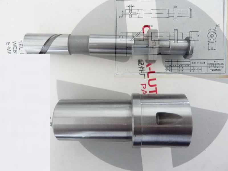Diesel Fuel Pump Plunger Barrel-Diesel Plunger Assy OEM CH1812-D13