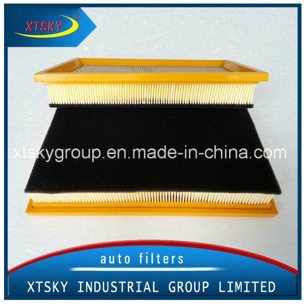 Auto Car with Sponge PU Air Filter (1109100-DS01L)