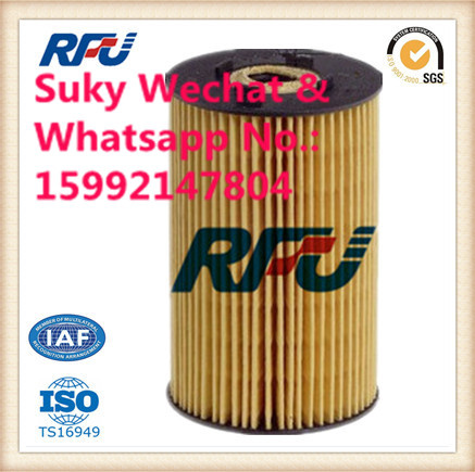 Hengst Oil Filter Auto Parts Used in Benz (E134H D06)
