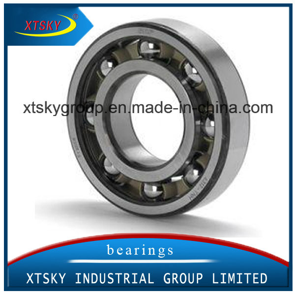 Xtsky Miniature Ball/ Mini Bearing Tube Packing (628)