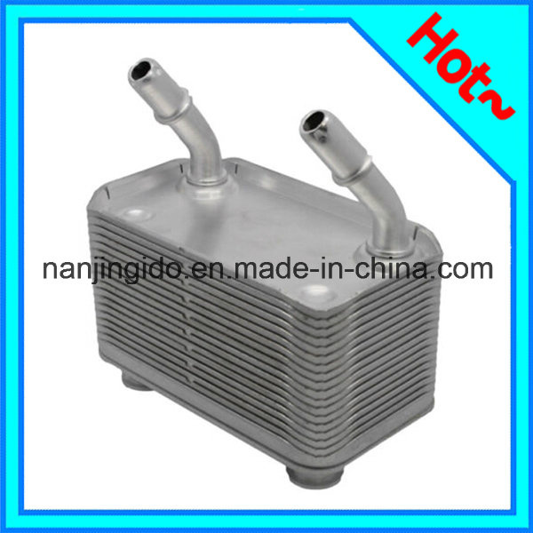 Engine Oil Cooler for BMW X5 E53 2003-2006 17207500754
