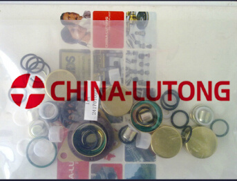 Fuel Injection Pump Rebuild Kit-Ve Diesel Pump Repair Kit