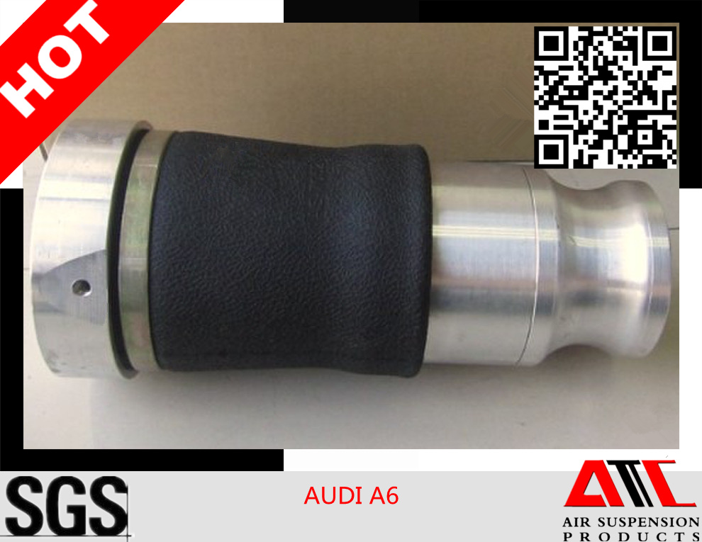 Rear Air Spring Suspension for Audi Allroad A6 C5 (AS7052)