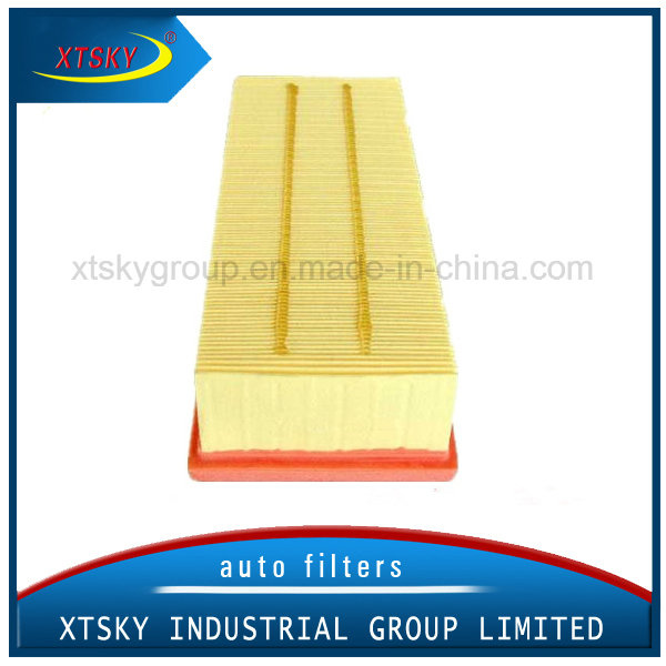 Auto Car Air Filter (1K0129620D)