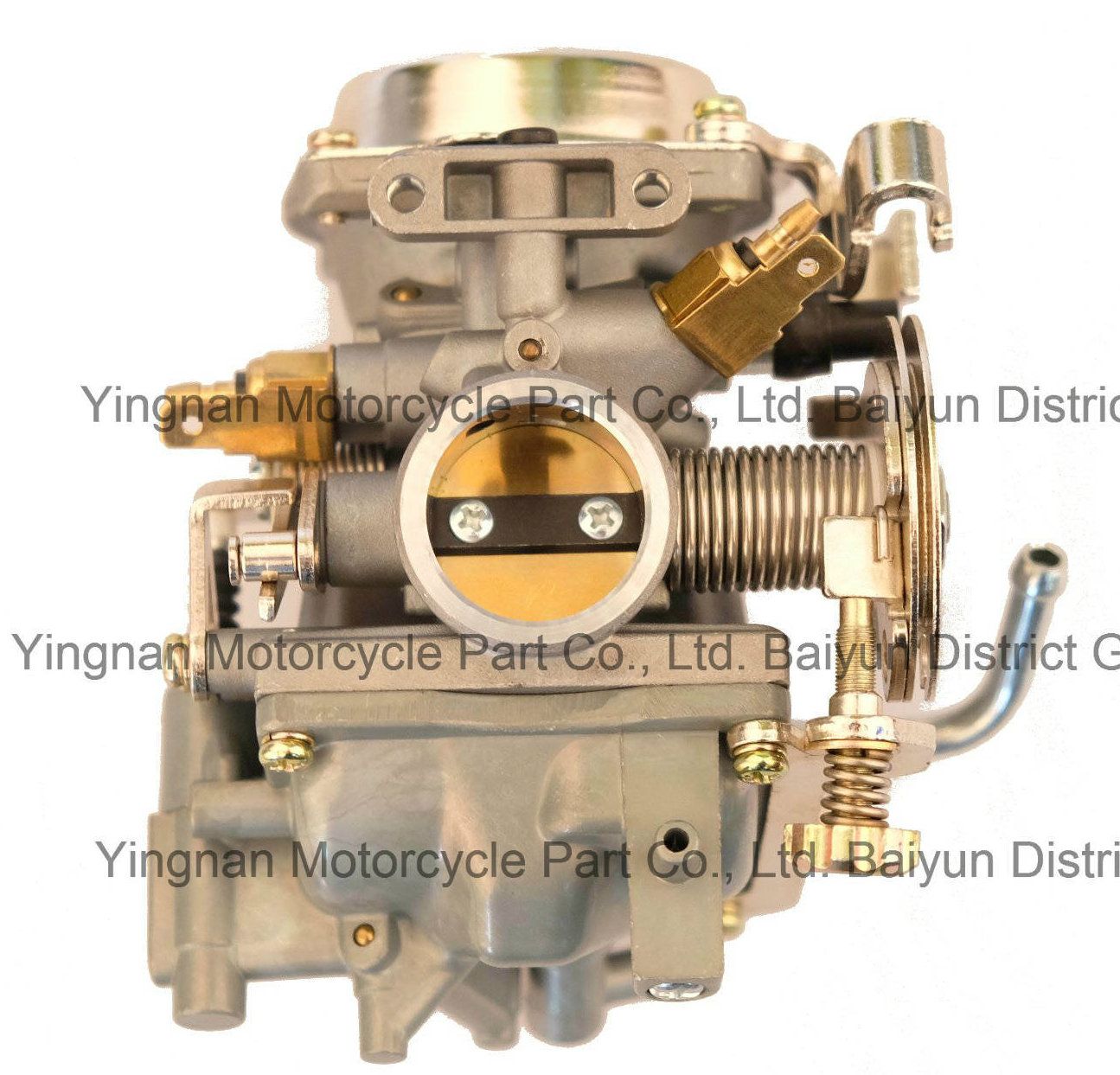 Motorcycle Accessory Motorcycle Parts Carburetor for Ceve