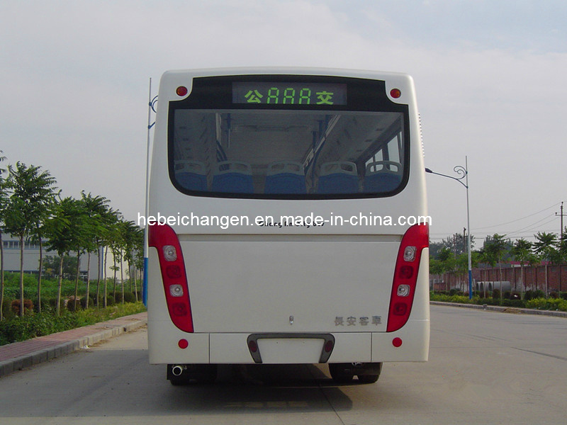 Rear Windscreen/Rear Windshield