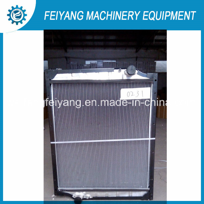 Sinotruk HOWO 25t Truck Radiator Wg9725530231