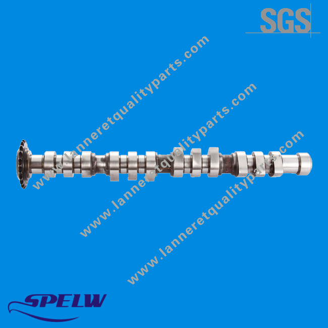 058109022D Camshaft for VW Passat/Audi A6 (INT)
