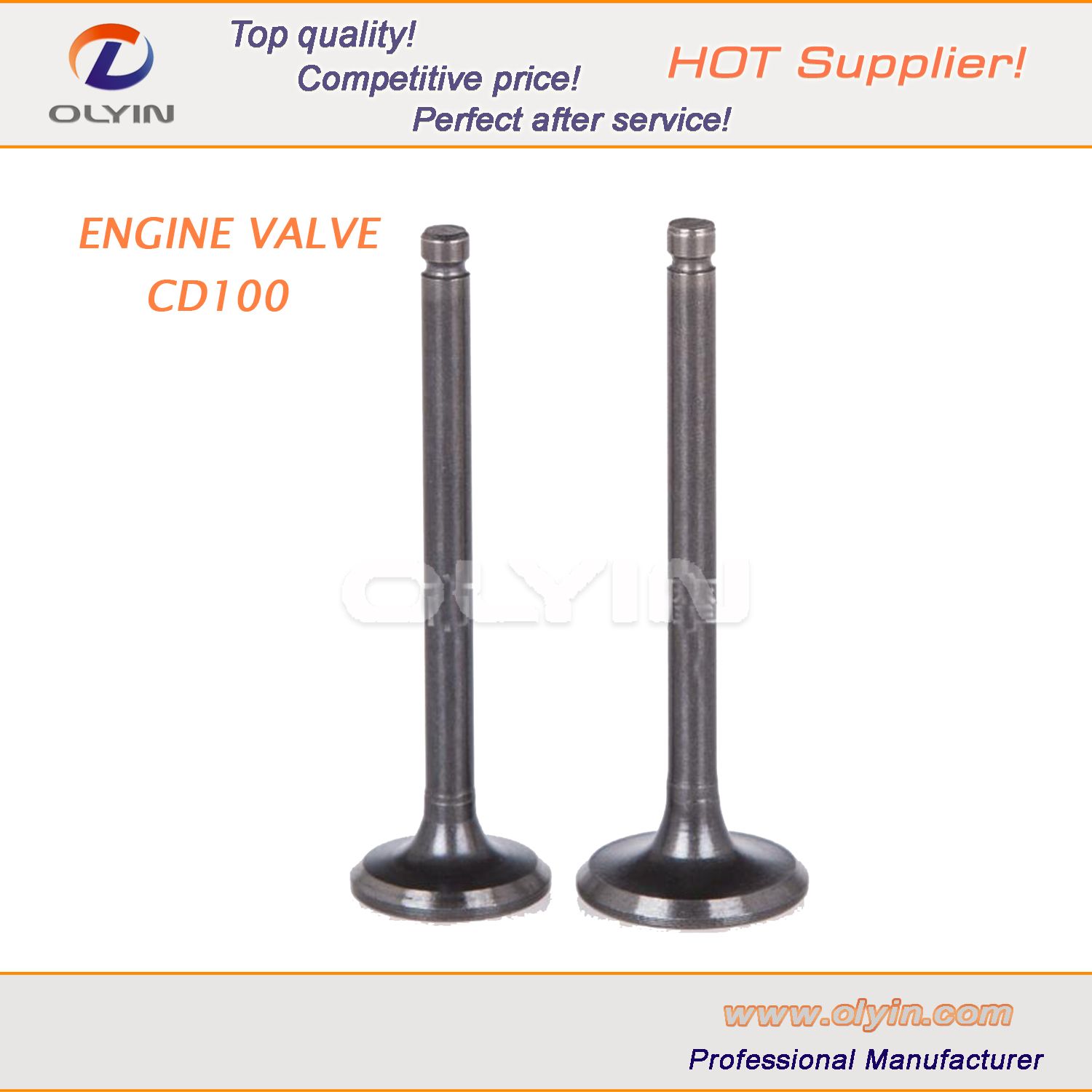 Motor Parts Inlet Valve, Motorcycle Valve Set for CD100