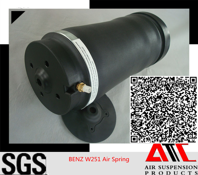 Shock Absorber for Mercedes Benz W251 R Class Rear 2513200425