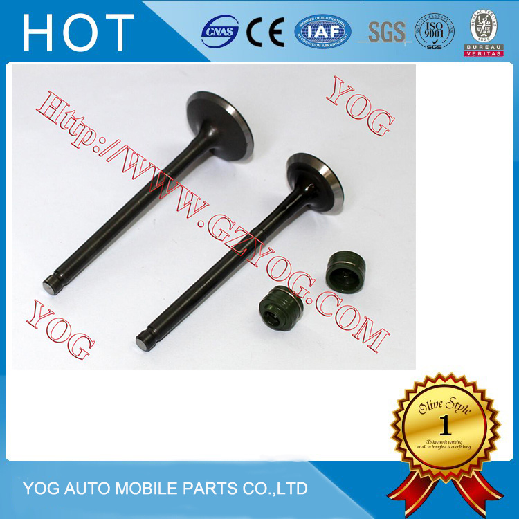 Motorcycle Part Engine Valve for CB110/Dakar/Biz/Ybr/Strom/Skua/Crypton