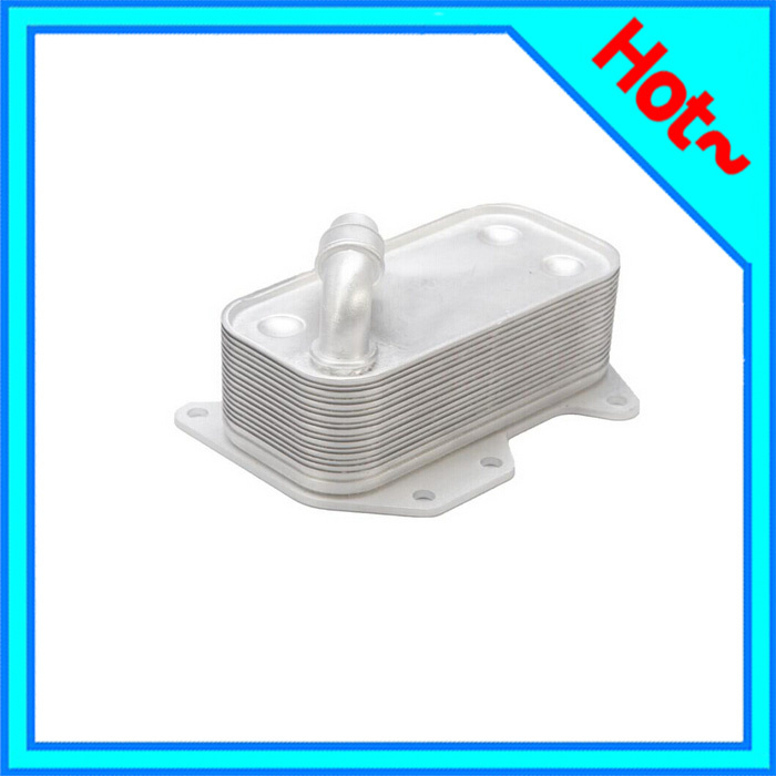 Car Oil Cooler for BMW 7 (E65, E66, E67) 01- 17217803830