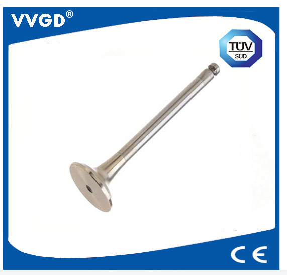 Auto Exhaust Valve for VW 027109611b