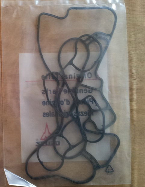 Gasket for Oil Cooler Tcd2012, Bfm2012