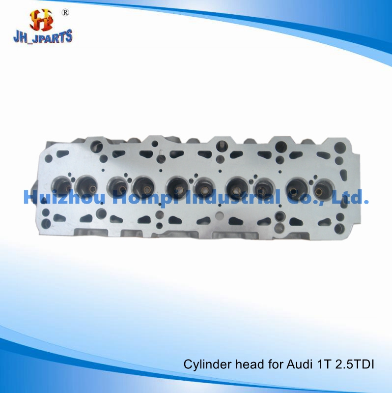 Engine Cylinder Head for Volkswagen Axd/Axe/Bac/Blj/Blk 2.5tdi L5 908712 070103063D/K/Q/R/S