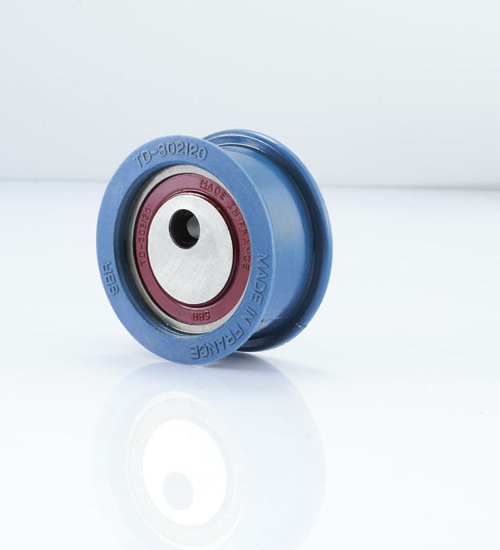 Tensioner Dm5025
