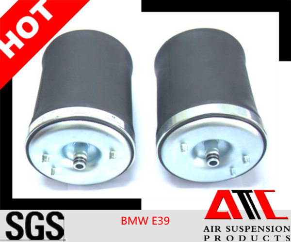 Factory Supply Rear E39 Shock Absorber for BMW 37121091614 37121091613