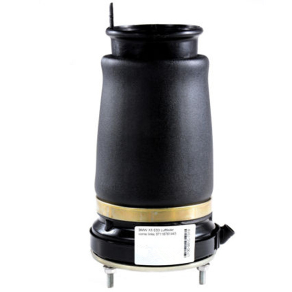 Top Sales Auto Parts Front Air Suspension for BMW E53