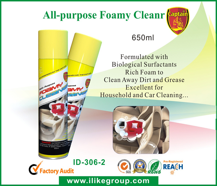 All-Purpose Foamy Cleaner