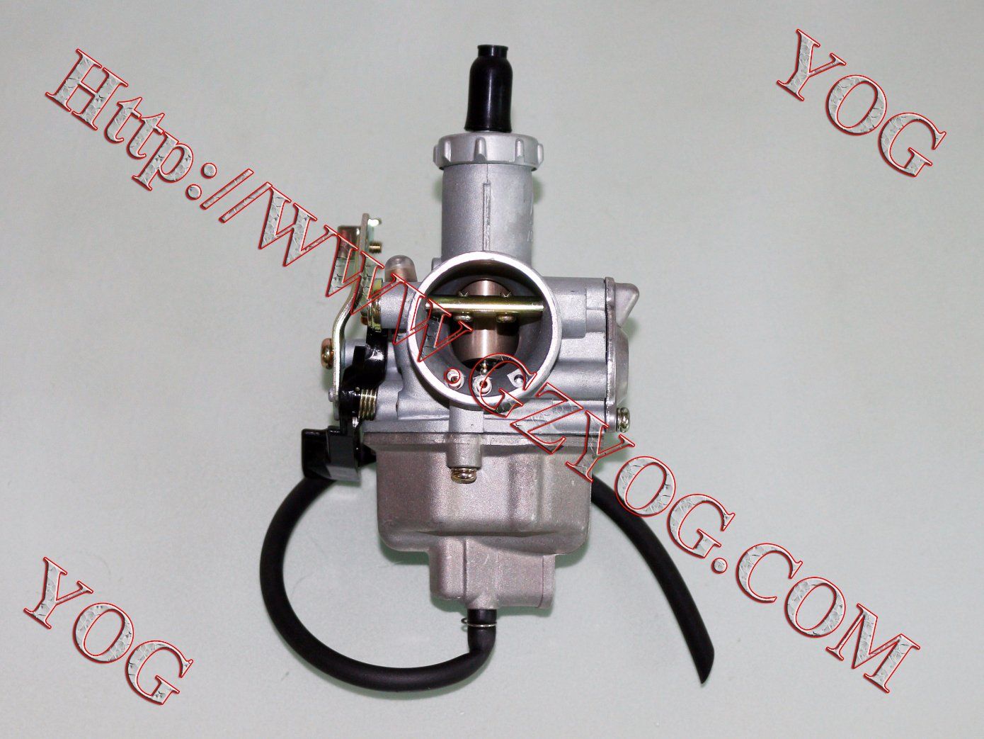 Motorcycle Spare Parts Motorcycle Carburetor for Italika 150z
