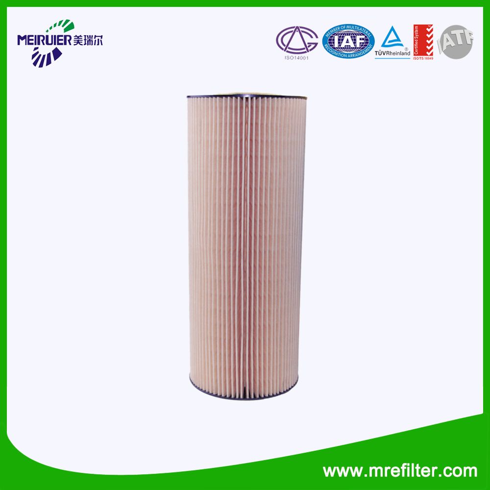 Oil Filter E500HD129 for Mercedes-Benz Truck Engine